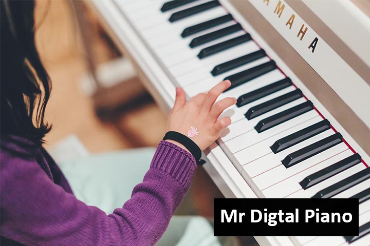 Best Weighted Keys Digital Piano