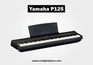 Yamaha P125 Review