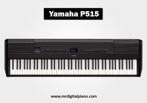 Yamaha P-515 Review