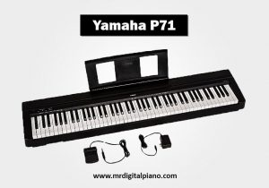 Yamaha P 71 Review