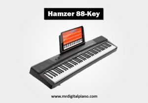 Hamzer 88-Key Review