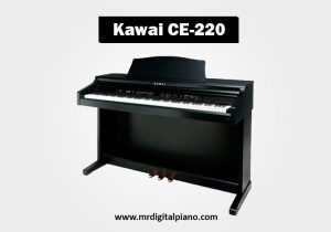 Kawai CE220
