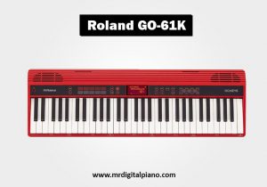Roland GO-61k