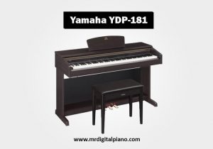 Yamaha Arius YDP-181