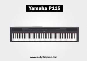 Yamaha P115