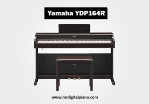 Yamaha YDP164R