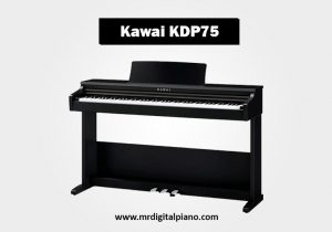 Kawai KDP75